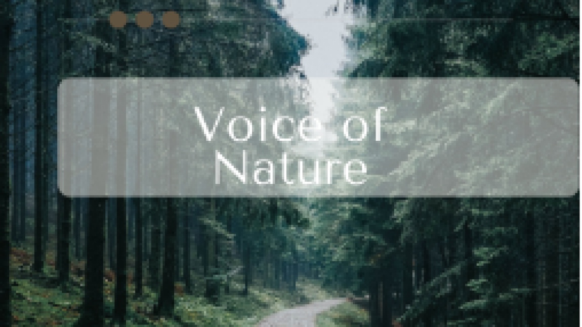Doğanın Sesi (Voice of Nature)